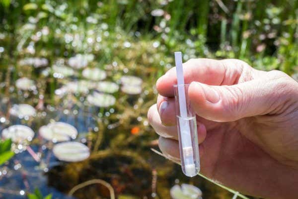 Wasserqualität testen Alle Infos zum Wasser testen lassen