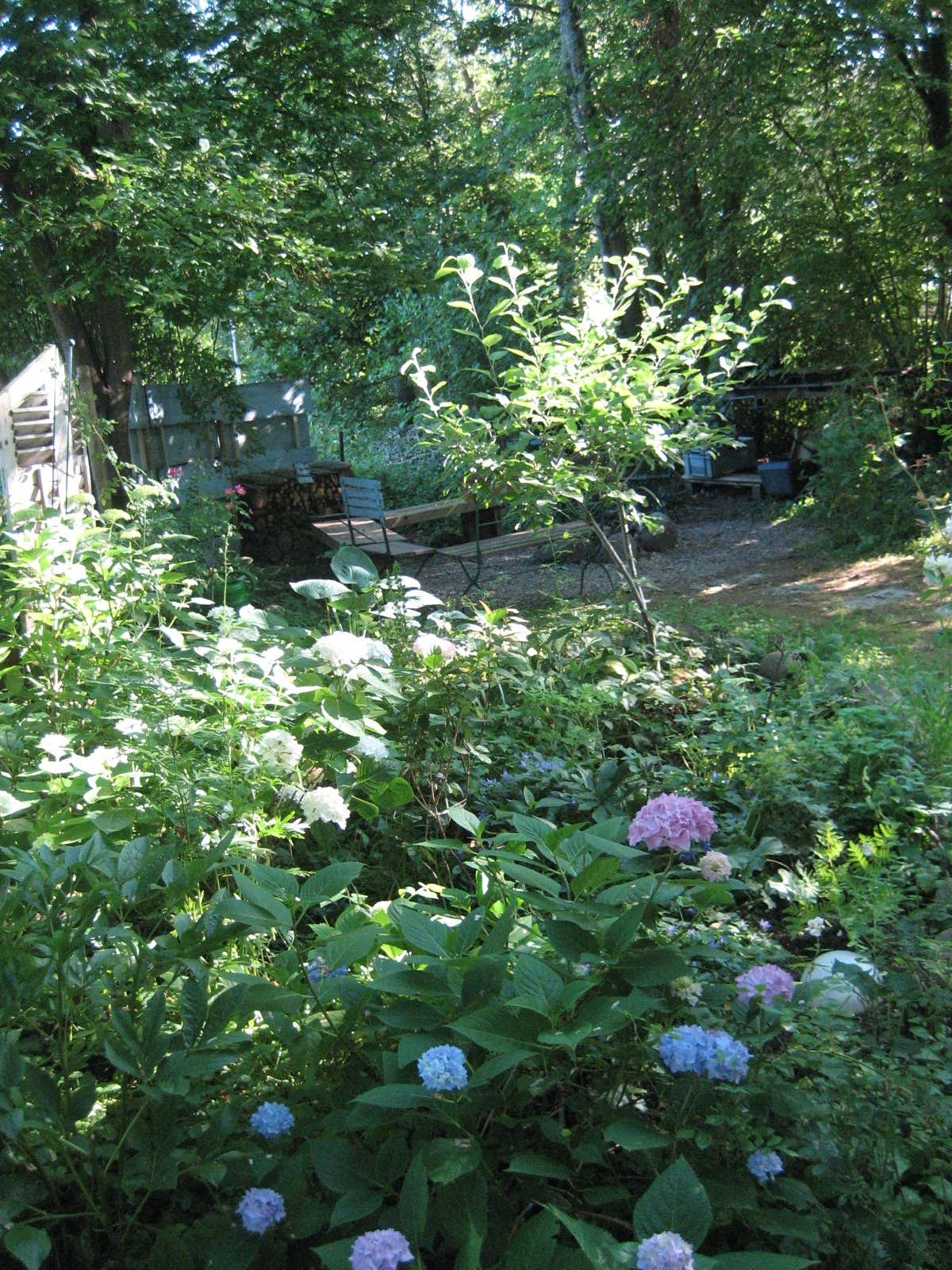 Schattengarten03 GartenHaus Magazin