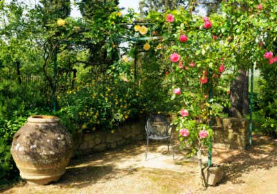 Mediterranes Flair für Ihr Zuhause: südländische Gartengestaltung
