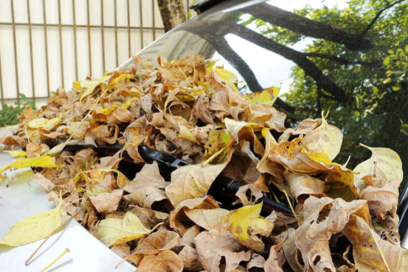 Windlast Carport: Warum Sie wissen sollten, in welcher Windlastzone Ihr Carport steht