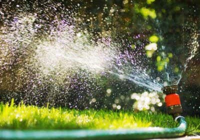 Garten und Rasen bewässern: So machen Sie’s richtig!