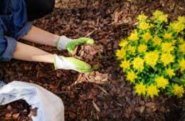 Garten Dekorieren 7 Aussergewohnliche Deko Ideen