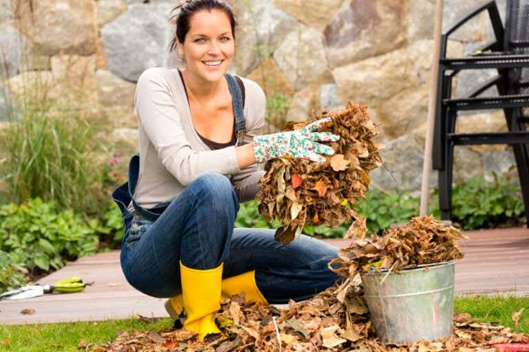 Für Gartenarbeit Bußgeld zahlen? Das müssen Sie wissen!